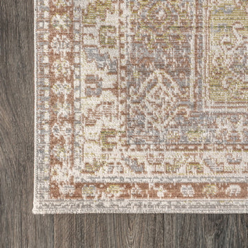 Darija Ornate Geometric Medallion Area Rug